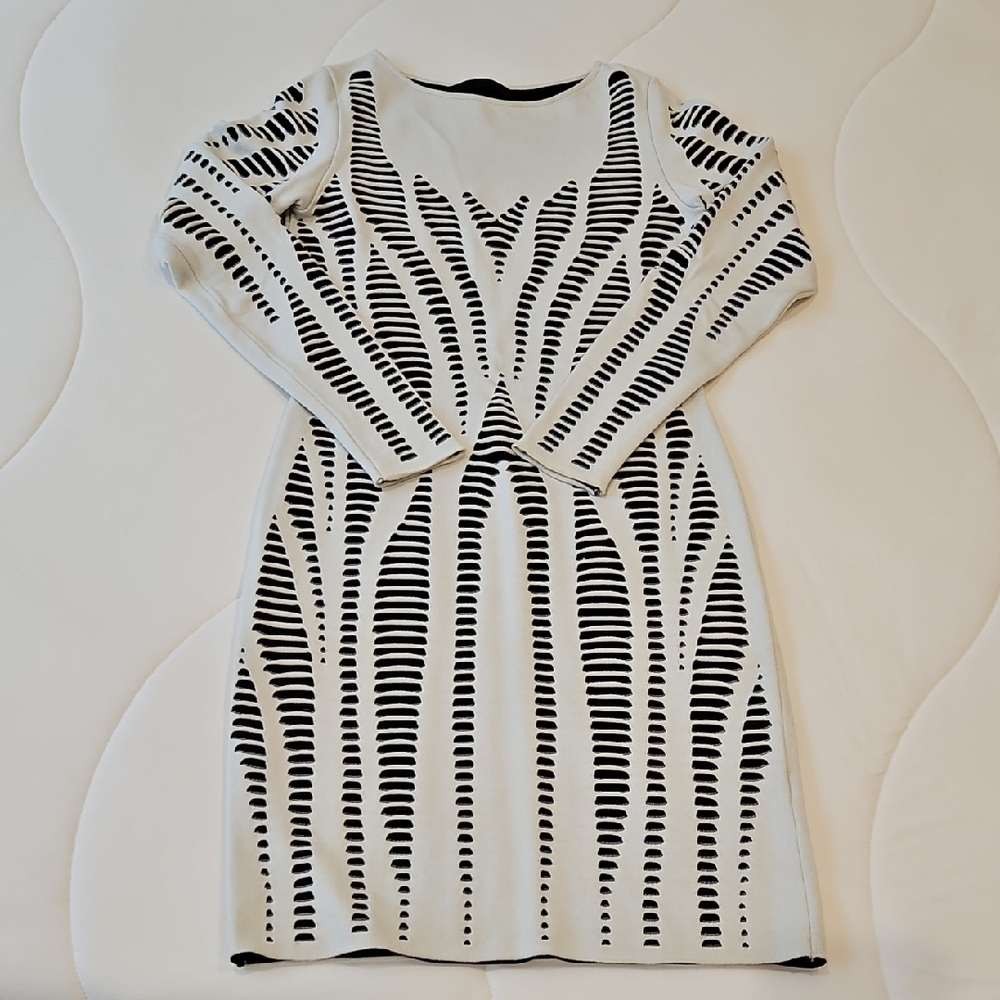 RVN Monochrome Long Sleeve Dress